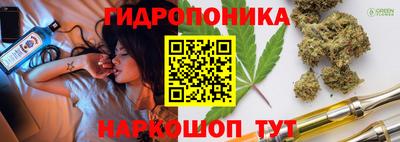 мяу мяу мука Кимры