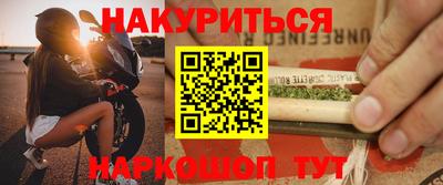 гидра Кингисепп