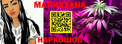гидра Кингисепп