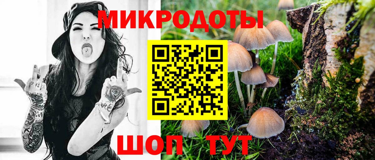 Псилоцибиновые грибы Psilocybe Ипатово